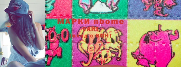 трава Новозыбков