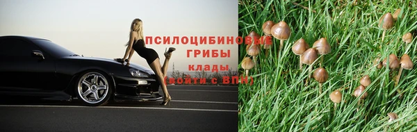 spice Новодвинск