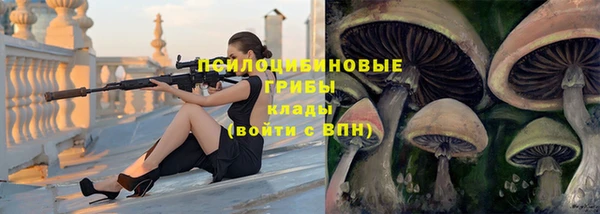 герыч Алзамай